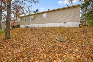 3933 Zell Cir, De Soto, MO 63020 - Photo 6