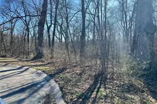 4 Acres Oak Ridge Pond Ct Rd, Hannibal, MO 63401 - Photo 1