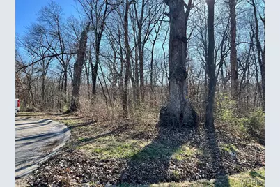 4 Acres Oak Ridge Pond Court Road, Hannibal, MO 63401 - Photo 2
