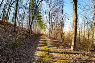 [Address not provided], Unincorporated, MO 65566 - Photo 94