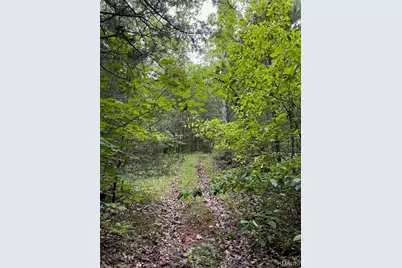 2244 Liberty Crossing Trail, Hillsboro, MO 63050 - Photo 6