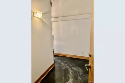 2201 Locust Street #304, Saint Louis, MO 63103 - Photo 2