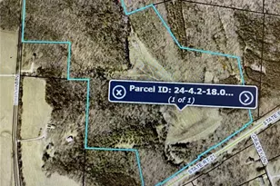 0 State Route 21, De Soto, MO 63020 - Photo 1