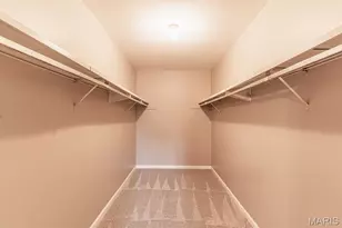 590 Sarah Ln, Creve Coeur, MO 63141 - Photo 16