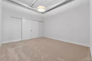 4100 Forest Park Ave, Saint Louis, MO 63108 - Photo 40