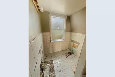 4427 Delor Street, Saint Louis, MO 63116 - Photo 14