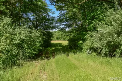 000 E. Heller Road, Columbia, MO 65202 - Photo 10