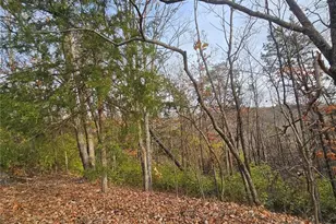 6900 Scenic View Dr, Cedar Hill, MO 63016 - Photo 1