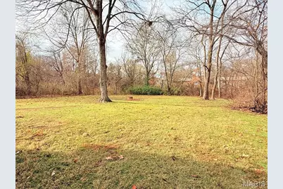 301 N Bogy Street, Pilot Knob, MO 63663 - Photo 46