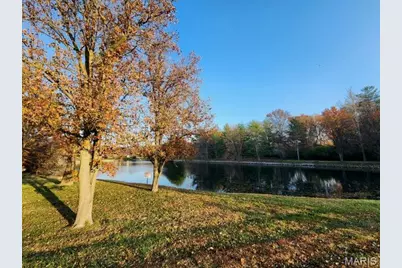 274 Falling Leaves Court, Creve Coeur, MO 63141 - Photo 62