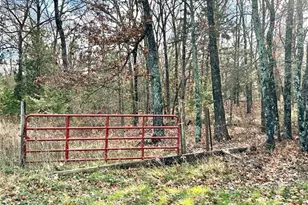 172 Cherryville Rd, Salem, MO 65560 - Photo 54