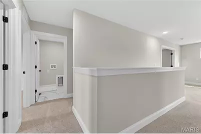 217 Bottlebrush Grove Court, Cottleville, MO 63304 - Photo 48