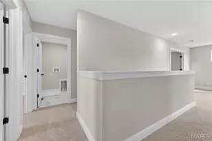 217 Bottlebrush Grv Ct, Cottleville, MO 63304 - Photo 48