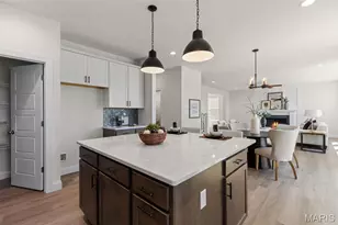 217 Bottlebrush Grv Ct, Cottleville, MO 63304 - Photo 16