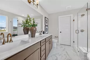217 Bottlebrush Grv Ct, Cottleville, MO 63304 - Photo 66