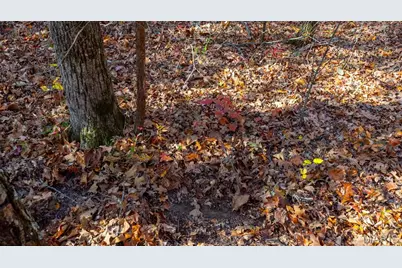 000 Mo-V, Union, MO 63084 - Photo 34