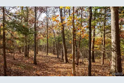 000 Mo-V, Union, MO 63084 - Photo 30