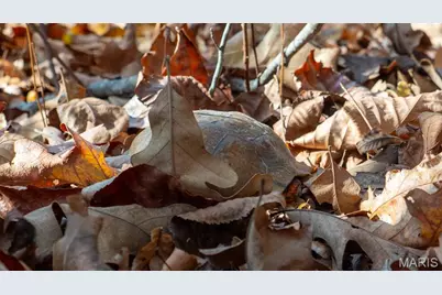 000 Mo-V, Union, MO 63084 - Photo 26