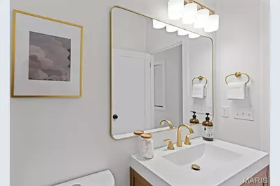 4258 Swan Avenue, Saint Louis, MO 63110 - Photo 22