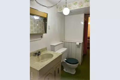 310 Mont Divier Dr Drive, Bonne Terre, MO 63628 - Photo 52