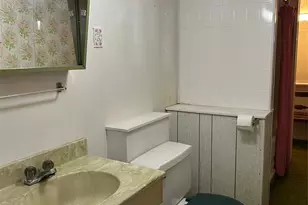 310 Mont Divier Dr Dr, Bonne Terre, MO 63628 - Photo 52