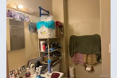 423 Degenhardt Avenue, Saint Louis, MO 63125 - Photo 20