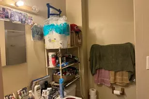 423 Degenhardt Ave, Saint Louis, MO 63125 - Photo 20