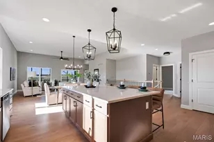 1 Magnolia@ Columbia Meadows, O'Fallon, MO 63366 - Photo 10