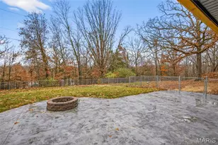 431 Darcie Dr, Bonne Terre, MO 63628 - Photo 10