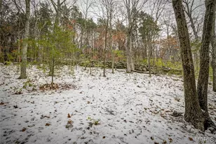 814 Bald Hill Rd, Eureka, MO 63025 - Photo 46