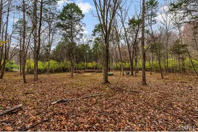 3701 Bear Tooth Lane, Wildwood, MO 63069 - Photo 6