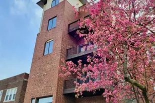 6416 Cates Ave, Saint Louis, MO 63130 - Photo 28