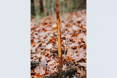 1950 Lake Forest Drive, Park Hills, MO 63601 - Photo 28