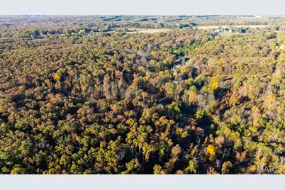 000 Oak Forest Road, Bland, MO 65014 - Photo 4