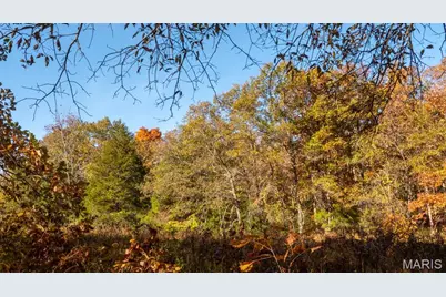 000 Oak Forest Road, Bland, MO 65014 - Photo 36