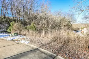 3 & 5 Broken Arrow Ct, Byrnes Mill, MO 63025 - Photo 10