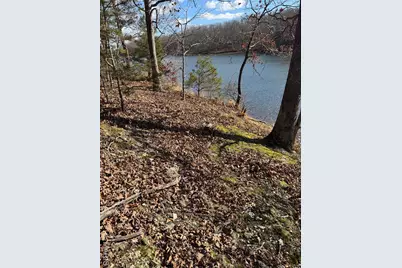 251 Shepard Lane, Lonedell, MO 63069 - Photo 6