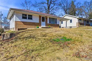 10129 Ventura Dr, Saint Louis, MO 63136 - Photo 28
