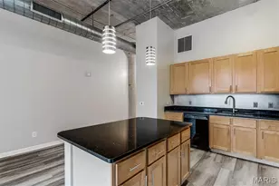 1511 Locust St, Saint Louis, MO 63103 - Photo 22