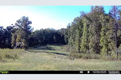 0 Missouri 34, Glen Allen, MO 63751 - Photo 24