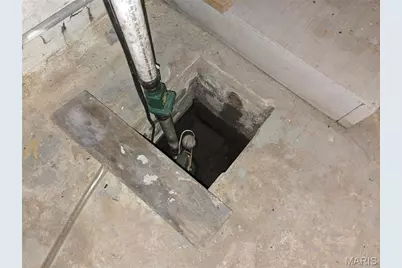 223 W Felton Avenue, Saint Louis, MO 63125 - Photo 30