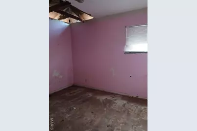 10612 Spring Garden Drive, Saint Louis, MO 63137 - Photo 4