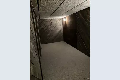 318 Davis Court, Park Hills, MO 63601 - Photo 30