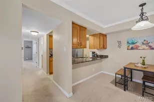 425 S Geyer Rd, Kirkwood, MO 63122 - Photo 10