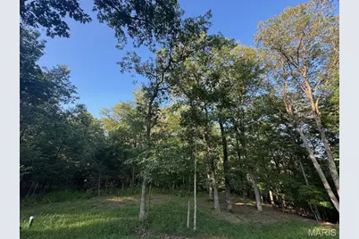 190 Steeple Point Dr. Lot #6 Drive, Defiance, MO 63341 - Photo 1