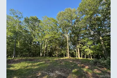 160 Steeple Point Dr. Lot #9 Drive, Defiance, MO 63341 - Photo 4