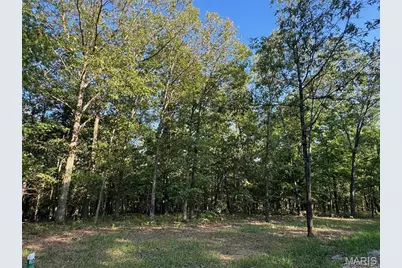 150 Steeple Point Dr. Lot #10 Drive, Defiance, MO 63341 - Photo 1