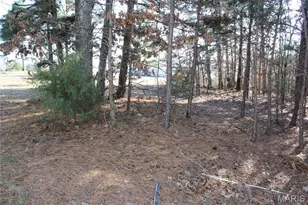 202 Mountain Ash Ln, Poplar Bluff, MO 63901 - Photo 24