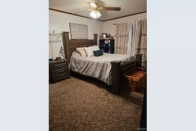 30678 Hwy 25, Clarkton, MO 63837 - Photo 8