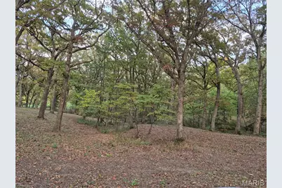 0 Highway D - Tract 5 (26+/- Acres), Eolia, MO 63344 - Photo 24